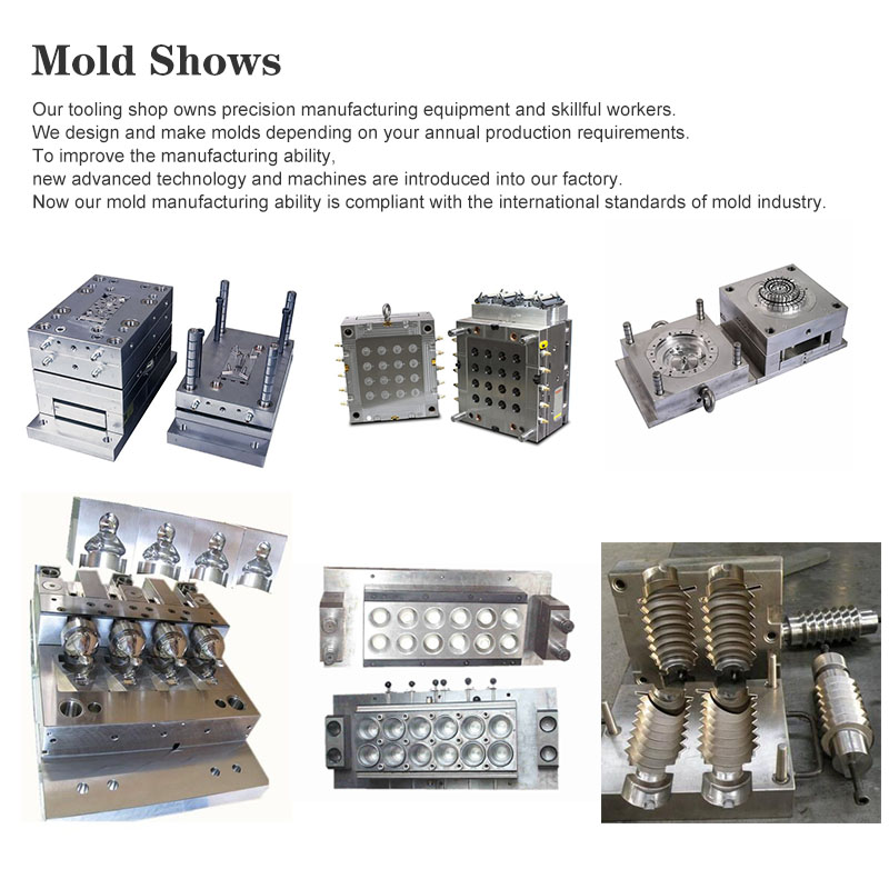 Plastic Injection Mold Plastic Injection Mold