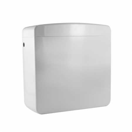 plastic injection mold for Dual Flushing Cistern