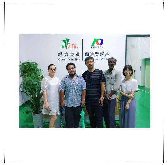 Mold Solutions in collaborazione con un partner in Arabia Saudita