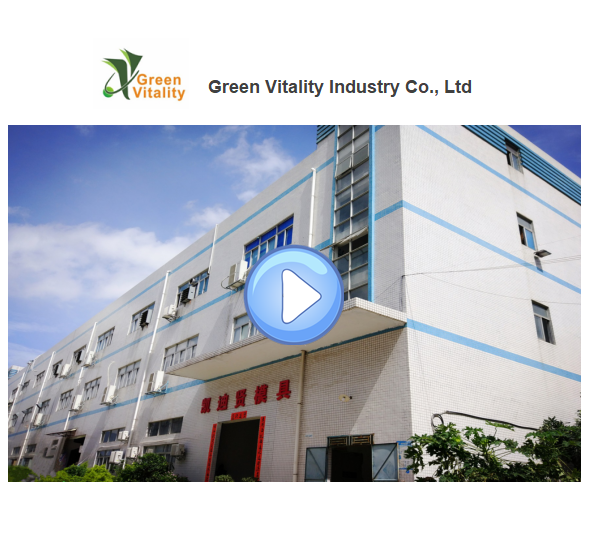 Moldworldservice Factory View